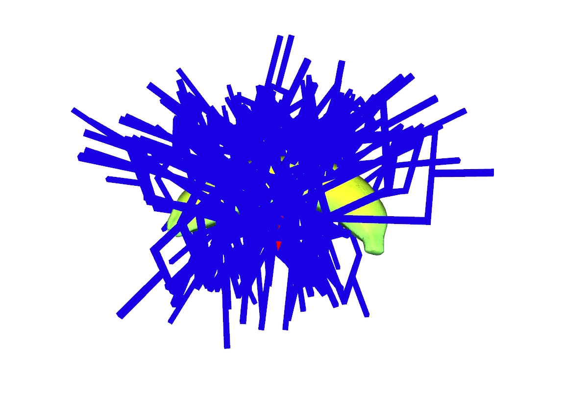 Grasp Pose Visualization